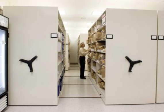 Screen Shot 2019-08-07 at 4.38.38 pm