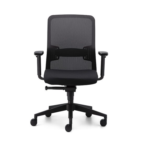Graphite Mesh Ergonomic Task Chair